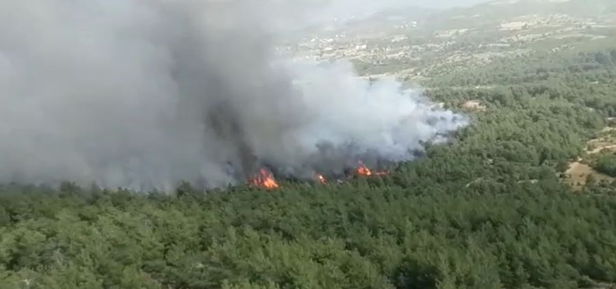 Yangın 5 saatte kontrol altına alınabildi, 50 Hektar Alan Zarar Gördü 