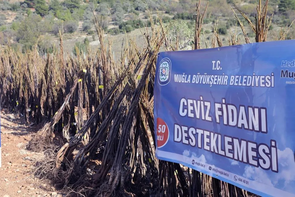 ‘Her Kapıda Bir Fidan’ projesi